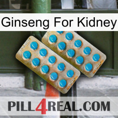 Ginseng For Kidney new08